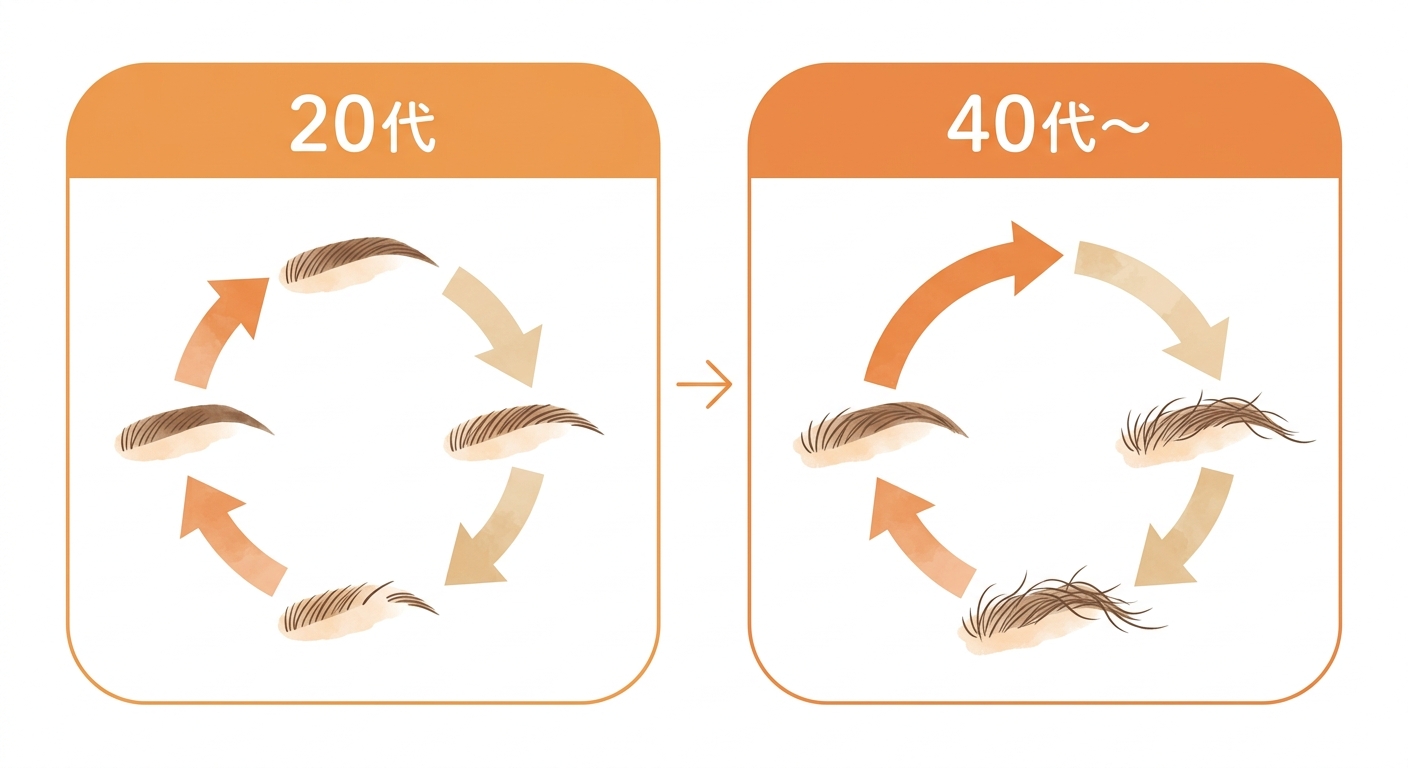 ai hair cycle